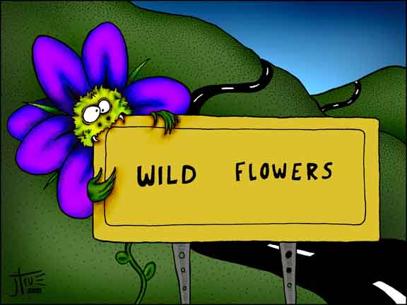 flowers cartoon. Wild Flowers - Cartoon - road